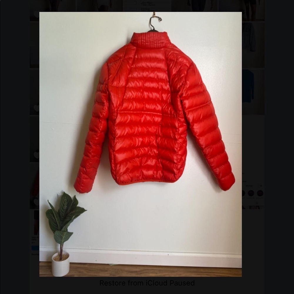 Red Puffer ❤️🔥 - Picture 4 of 4